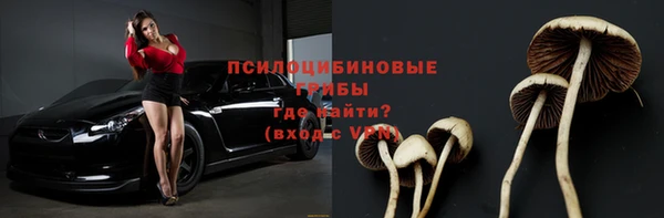 соль ск Абдулино