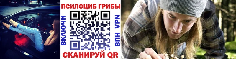мега онион  дарнет шоп  Альметьевск  Галлюциногенные грибы MAGIC MUSHROOMS 