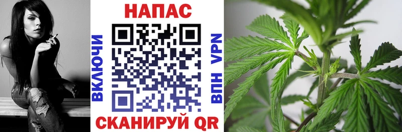 KRAKEN   Альметьевск  Канабис тримм 